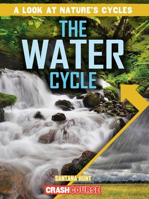 cover image of The Water Cycle